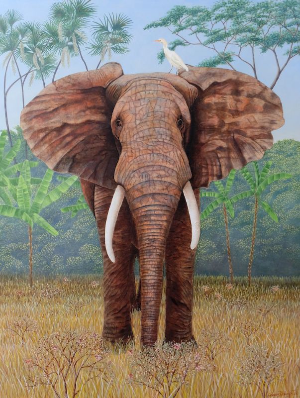 Africa bush elephant.